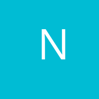 NoBugYet